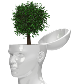 tree_growing_out_of_head_1600_clr_15455